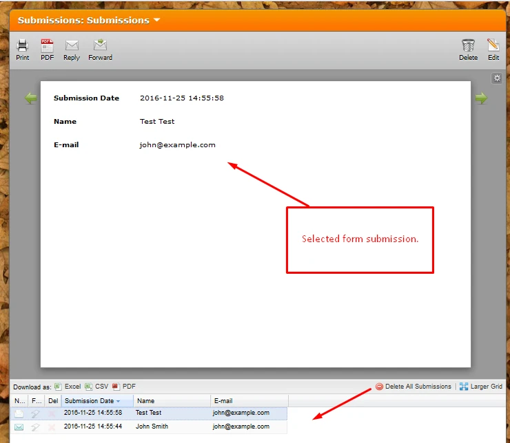 How can I see my form submissions? Image 2 Screenshot 41