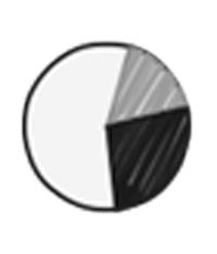 Visual Reporting