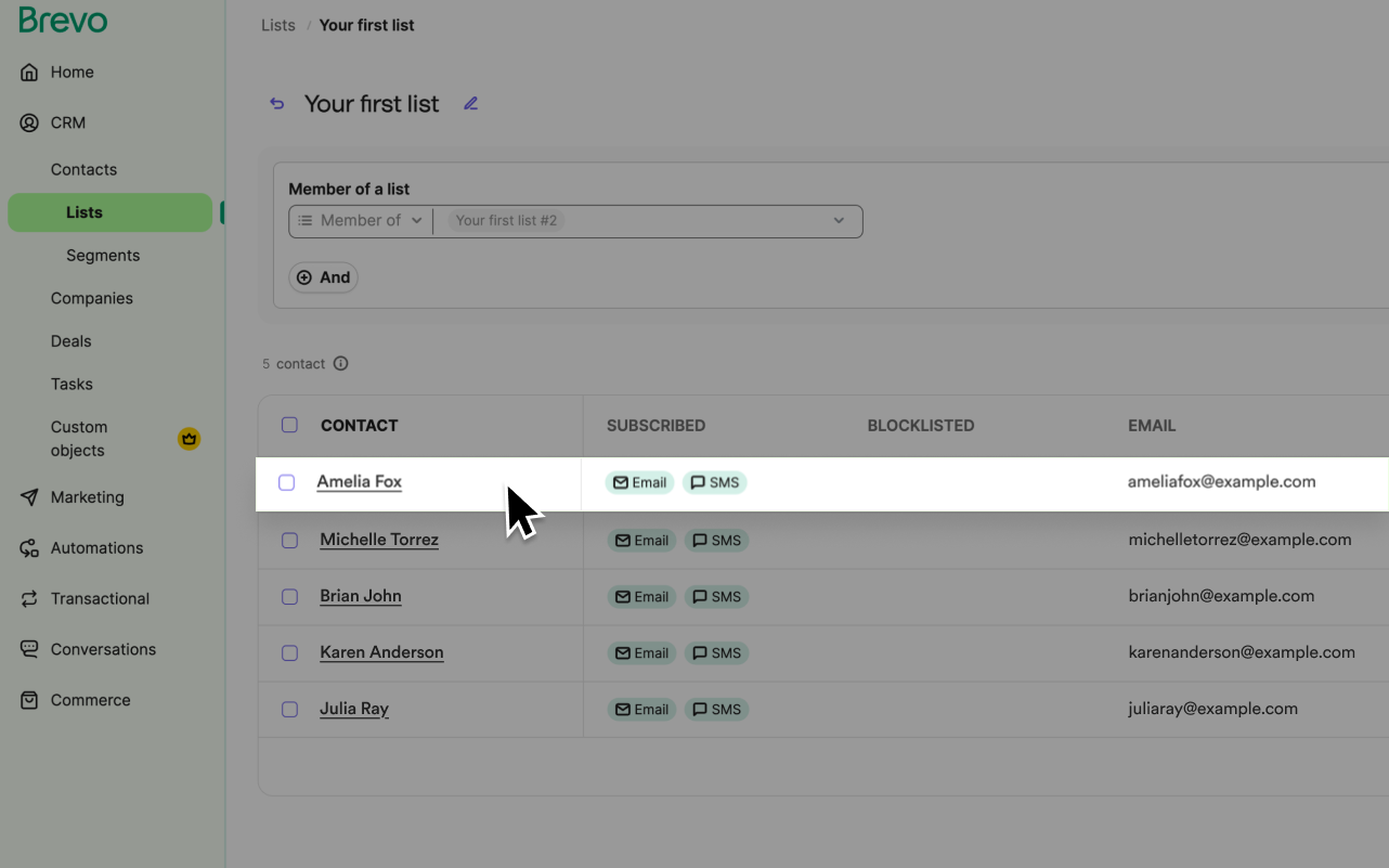 Brevo Screenshot 5