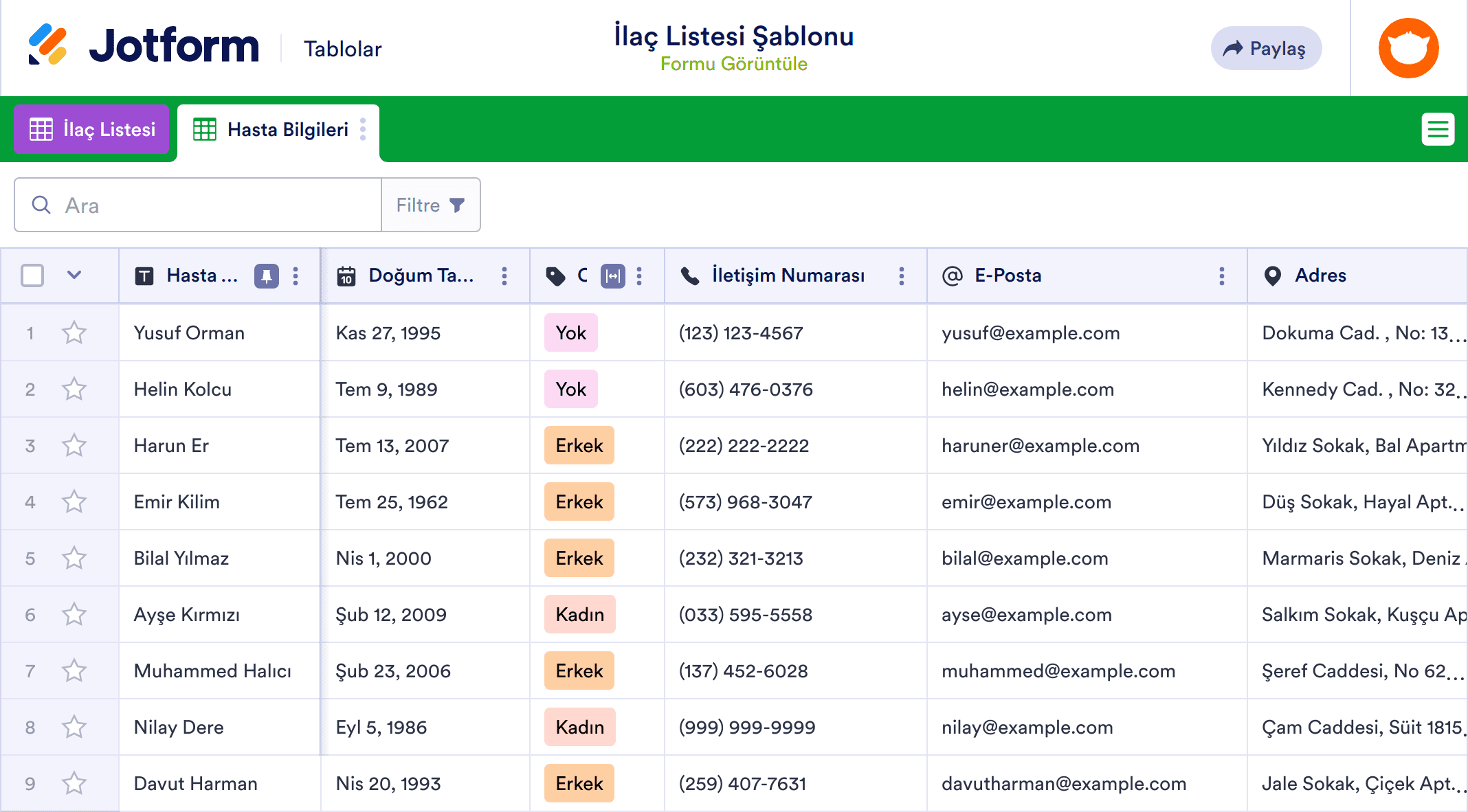 İlaç Listesi Tablo Şablonu