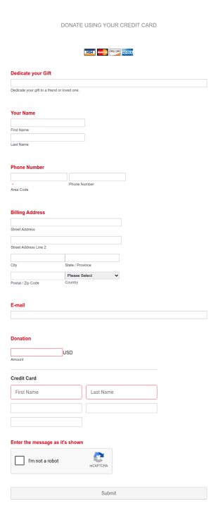 Credit Card Donation Forms Form Template