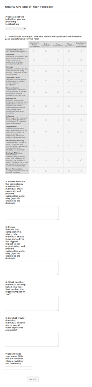 Individual Evaluation Form Template