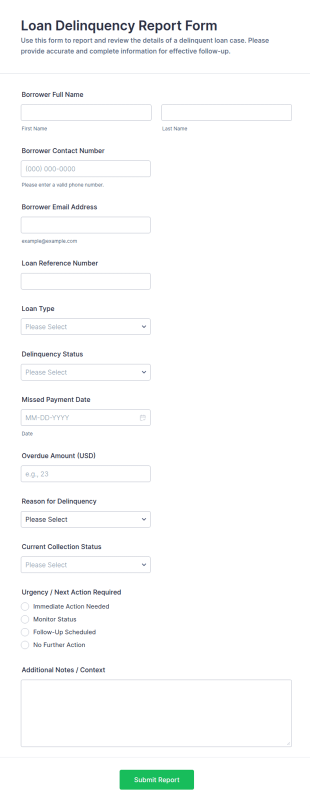 Loan Delinquency Report Form Template