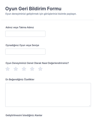Oyun Geri Bildirim Anketi Form Şablonu