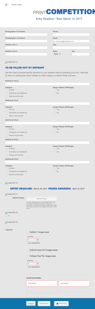 PPMT Print Competition Form Template