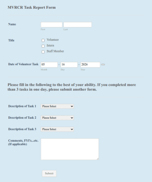 Volunteer Task Form Template