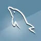 MySQL Export