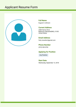 Applicant Resume Template - PDF Templates