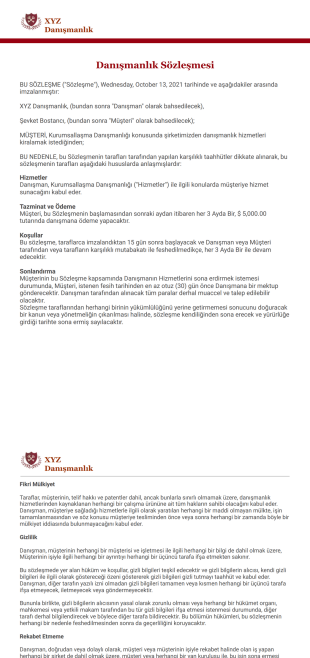Danışmanlık Sözleşmesi Şablonu - PDF Şablonları