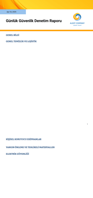 Günlük Güvenlik Denetim Raporu PDF Şablonu