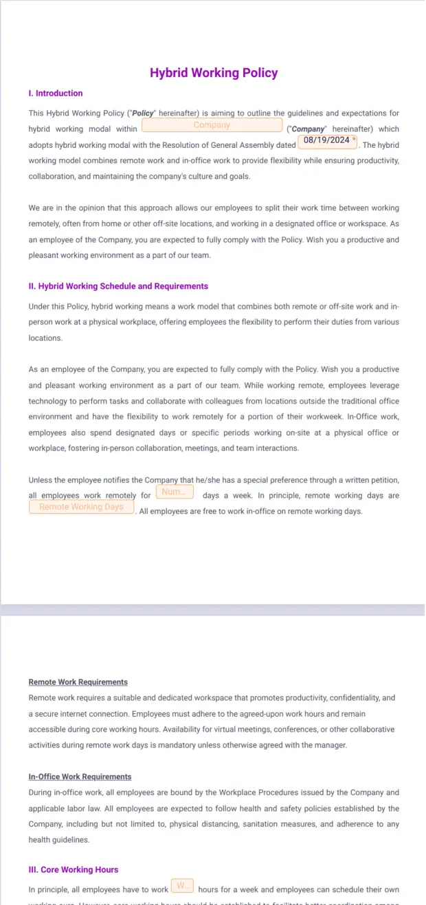 Hybrid Working Policy Template
