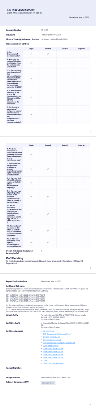 IES Risk Assessment Affonso Ditzel PDF Template