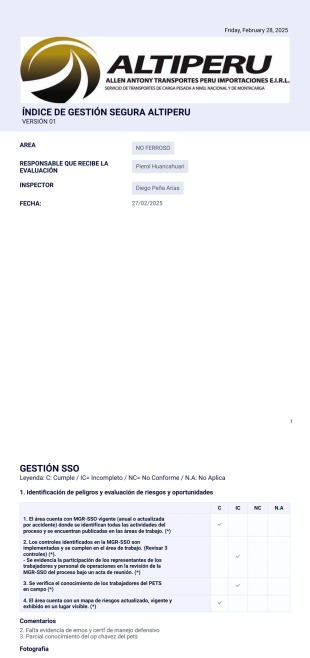 Igs Alti Plantilla PDF