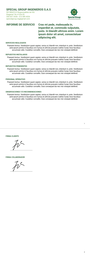 Informe De Servicio Plantilla PDF