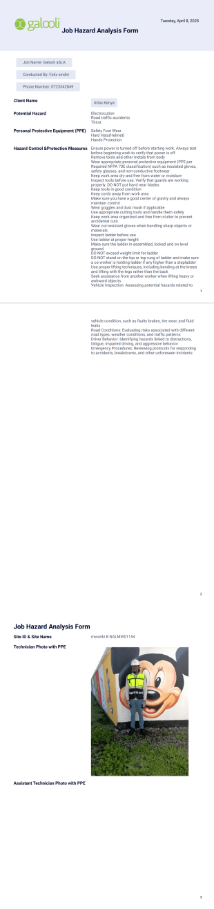 Job Hazard Analysis Form PDF Template