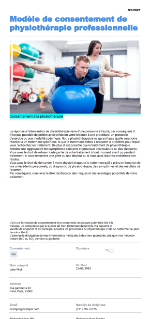 Modèle de consentement de physiothérapie professionnelle - Modèles de PDF