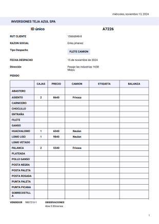 Nv Teja Azul Plantilla PDF