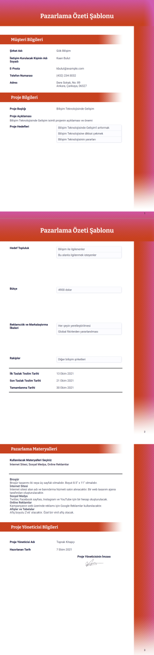 Pazarlama Özeti Şablonu - PDF Şablonları
