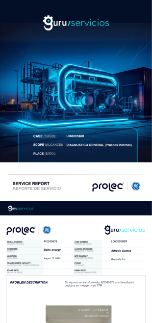 Reporte Fin (Guru Services) Plantilla PDF