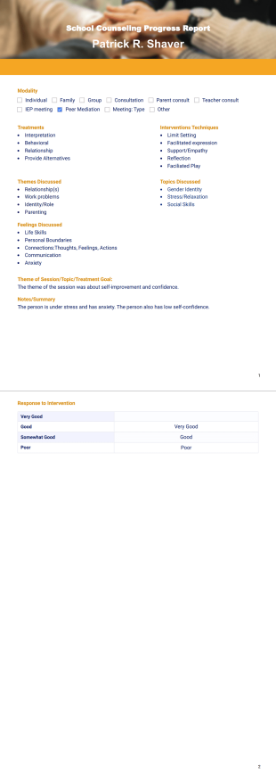 School Counseling Progress Report PDF Template