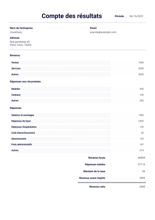 Template de compte des résultats Modèle PDF