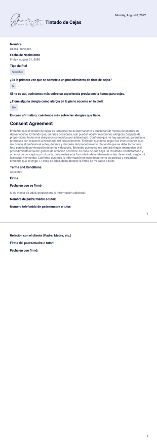 Tintado de Cejas Plantilla PDF