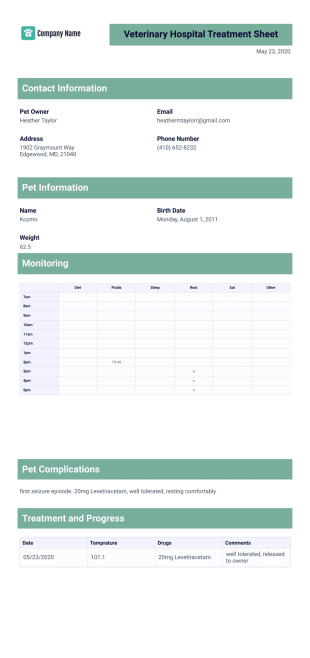 Veterinary Hospital Treatment Sheet Template - PDF Templates