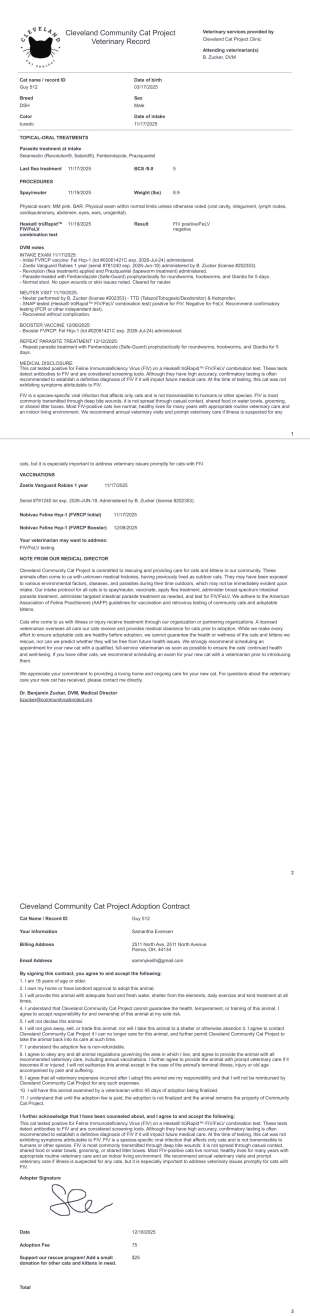 Veterinary Summary PDF Template