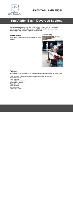Yeni Albüm Basın Duyurusu Şablonu - PDF Şablonları