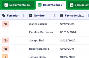 Administración de Reservas de Hotel Spreadsheet Template