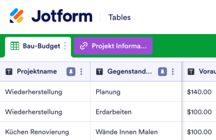 Bau-Budget Vorlage Tabellenvorlage