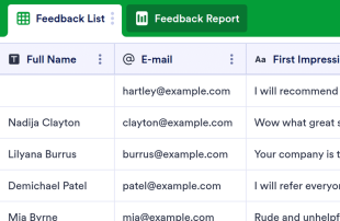 Customer Feedback Log Spreadsheet Template