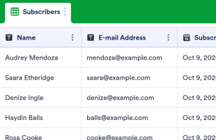 Email Sign Up Spreadsheet Template