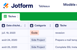 Formulaire de saisie de la liste des tâches quotidiennes Modèle de feuille de calcul