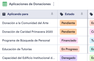 Hoja de Cálculos para dar Seguimiento a las Donaciones Spreadsheet Template