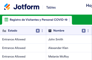 Hoja de Registro COVID-19 Spreadsheet Template