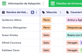 Hoja Informativa de Mascotas en Adopción Spreadsheet Template