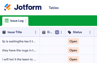 Issue Log Template Spreadsheet Template