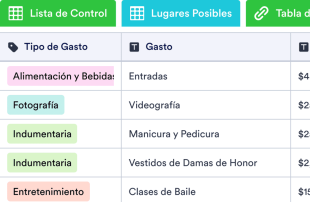 Planificador de Bodas Spreadsheet Template