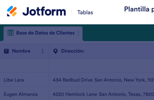 Plantilla para Base de Datos de Clientes Spreadsheet Template