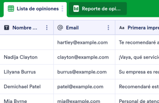 Registro de opiniones de los clientes Spreadsheet Template