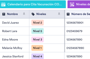 Seguimiento de Vacunación COVID-19 Spreadsheet Template