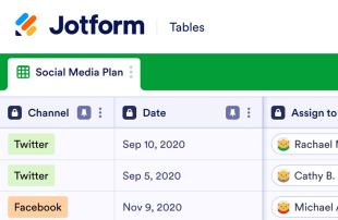 Social Media Plan Template Spreadsheet Template