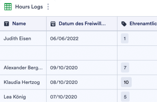 Stundenformular für Freiwillige Tabellenvorlage