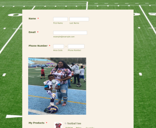 Sport Field - Theme Poster