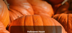 Halloween Pumpkin - Theme Poster