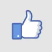 Facebook Follow Box (Formerly Like Box)