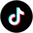 TikTok Embed