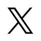 X (Formerly Twitter)