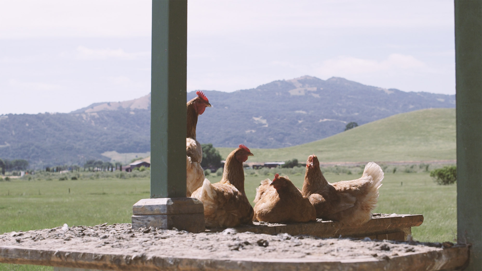 Learn How an Organic Farm Uses Jotform for Customer Orders Image-3